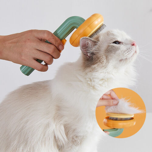 Self Cleaning Pumpkin Brush