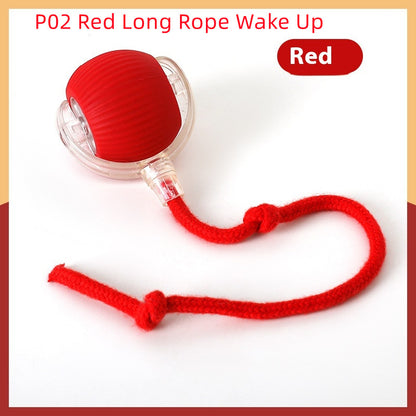Interactive Rolling Ball Toy