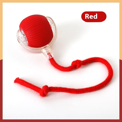 Interactive Rolling Ball Toy