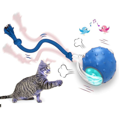 Interactive Rolling Ball Toy