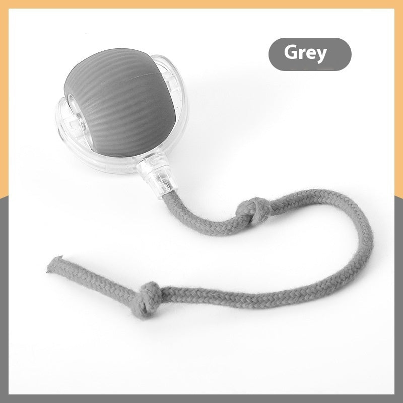 Interactive Rolling Ball Toy