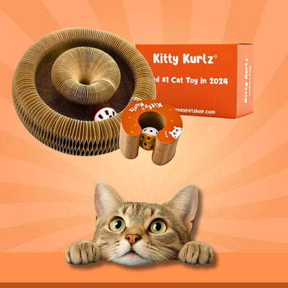 Paper Scratching Post Toy
