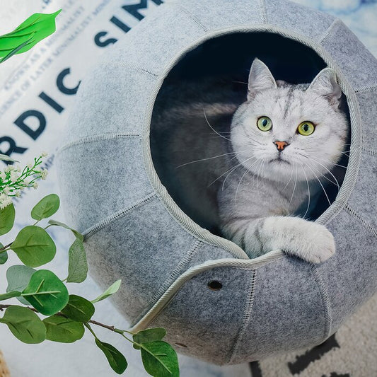Multi-Function Cat Tunnel Cave Bed