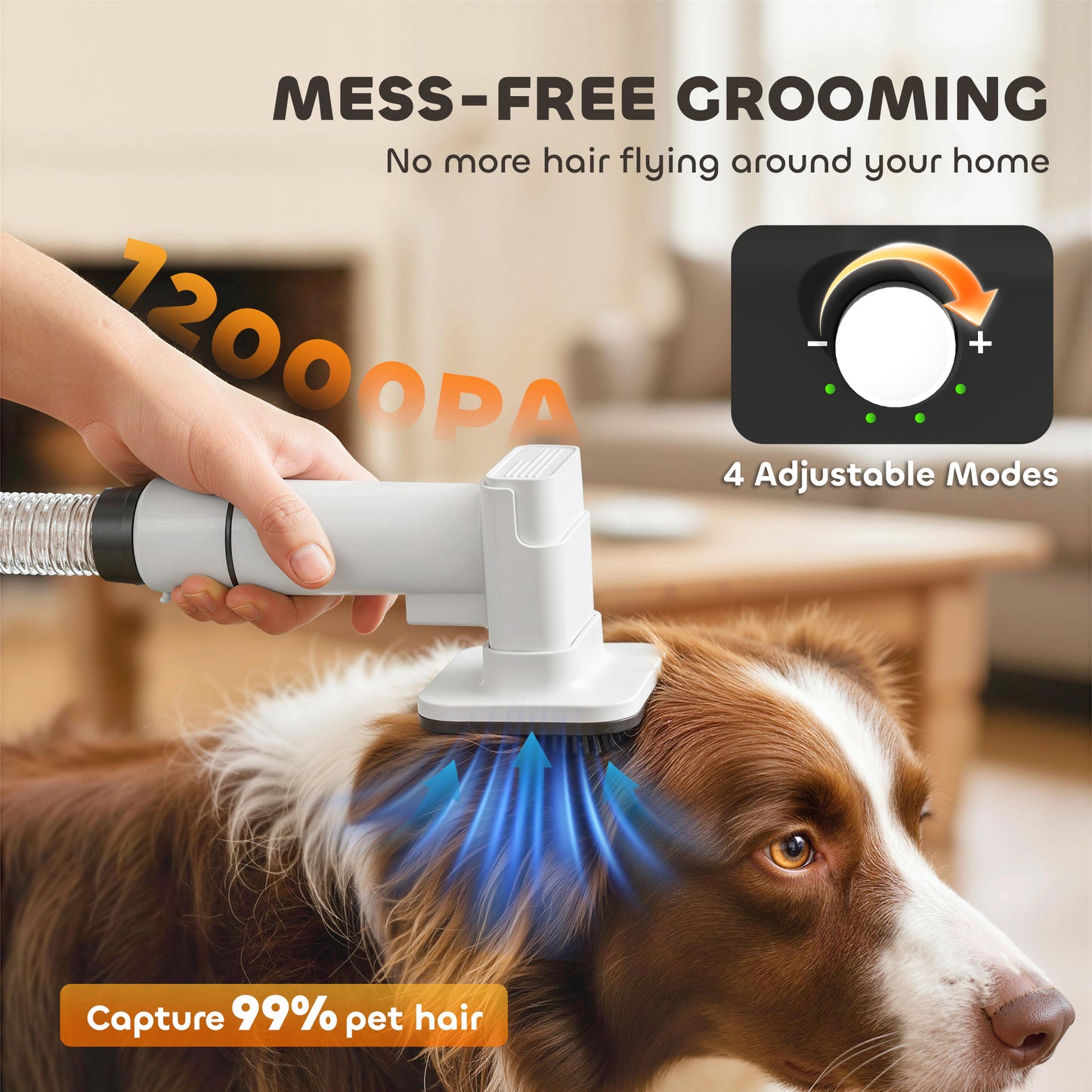 5 in 1 Pet Grooming Vacuum