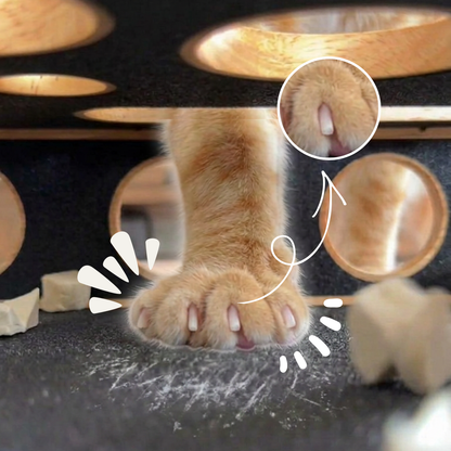 Pawzzle™