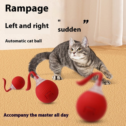 Interactive Rolling Ball Toy