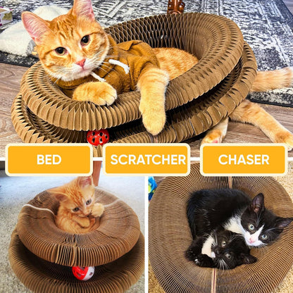 Paper Scratching Post Toy