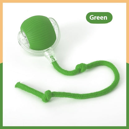 Interactive Rolling Ball Toy