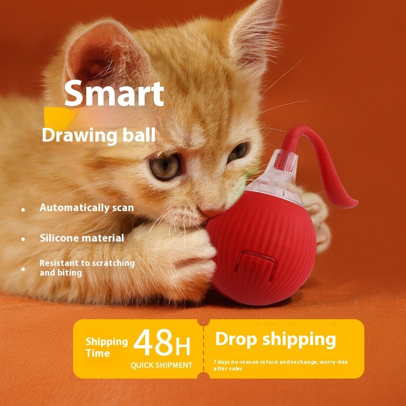 Interactive Rolling Ball Toy