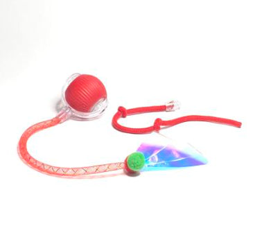 Interactive Rolling Ball Toy