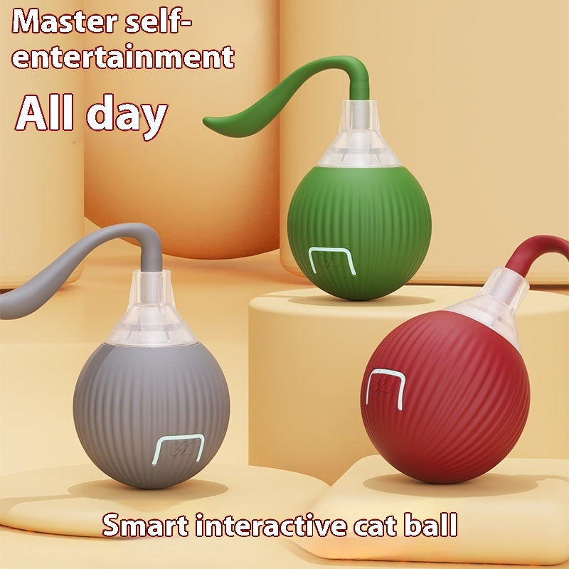 Interactive Rolling Ball Toy
